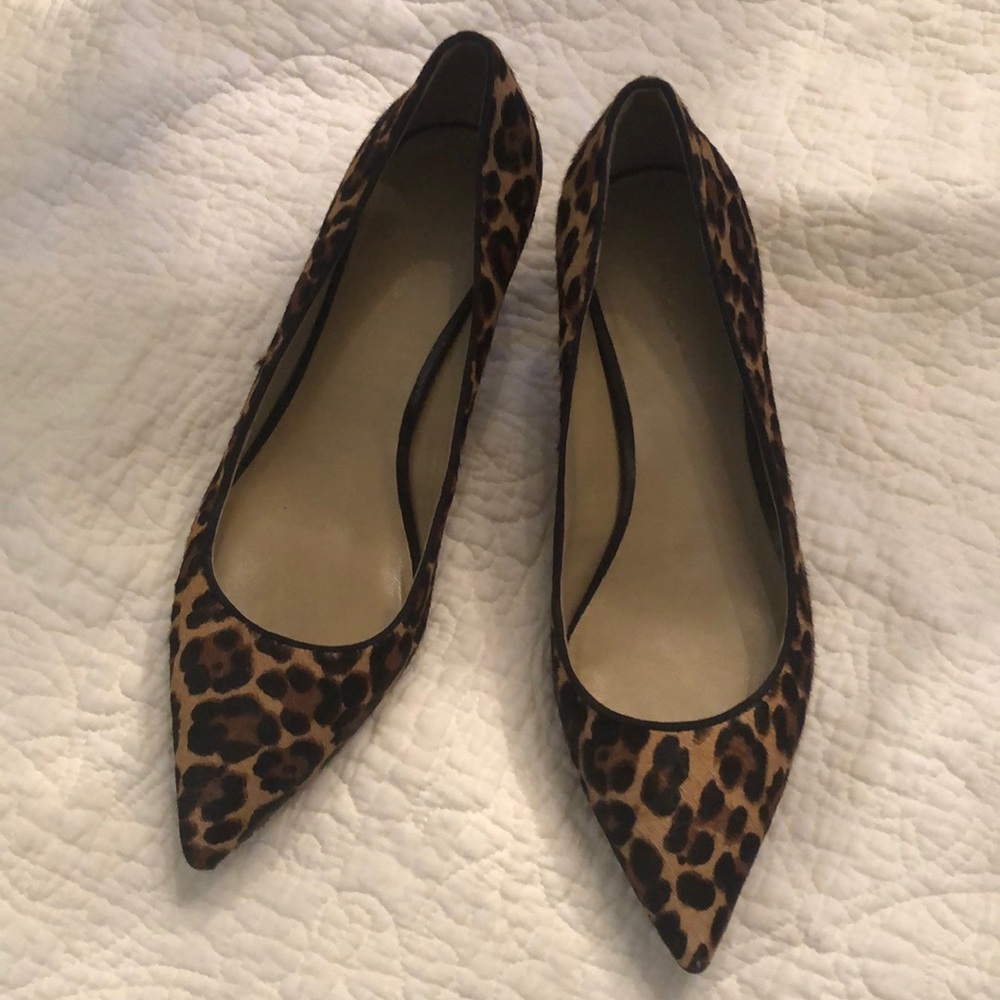 Ann Taylor Animal Print Pumps, Size 8.5 🎉🎊